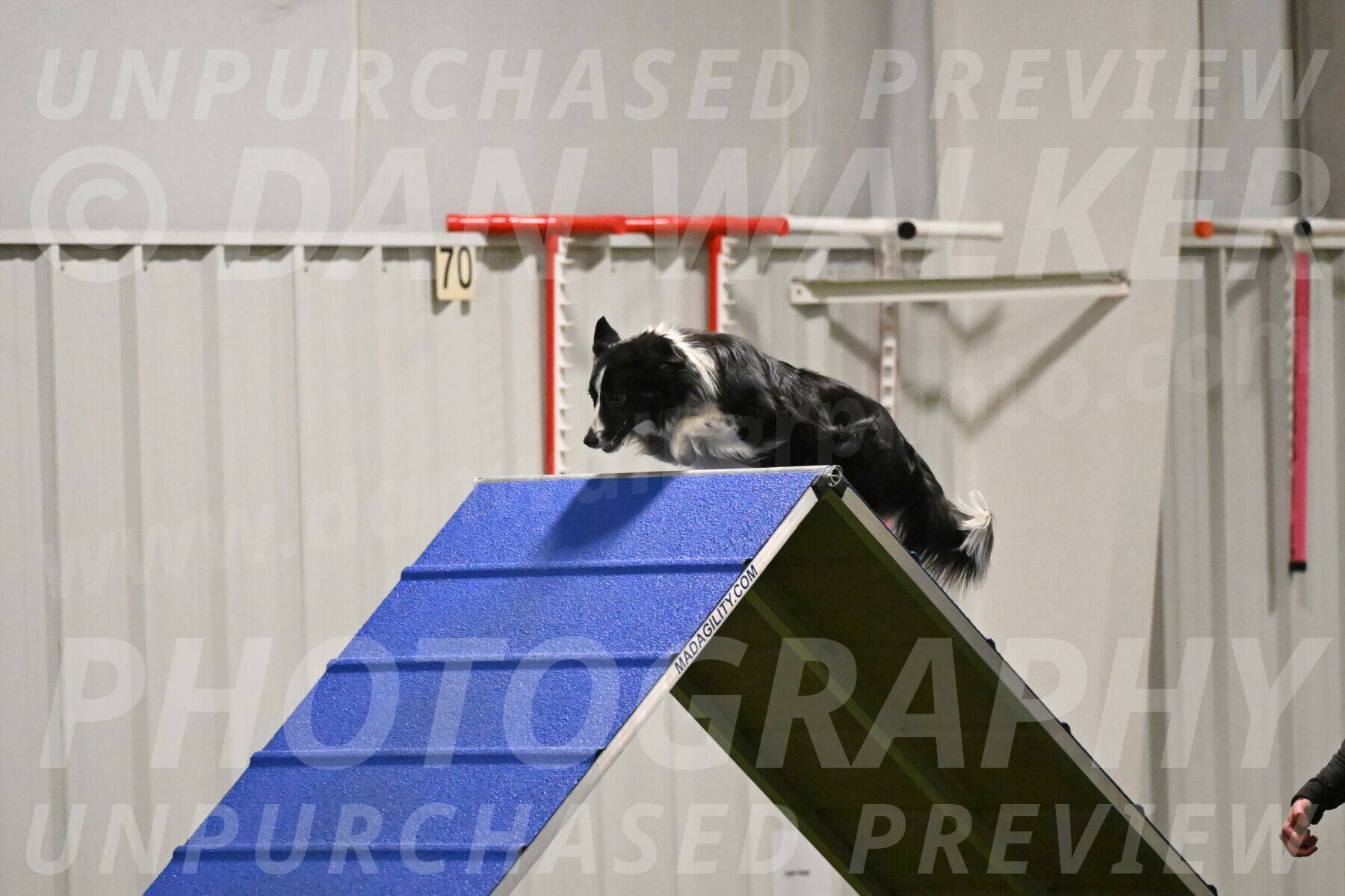 Myka-Sarah-Gould-08078