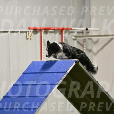 Myka-Sarah-Gould-08078