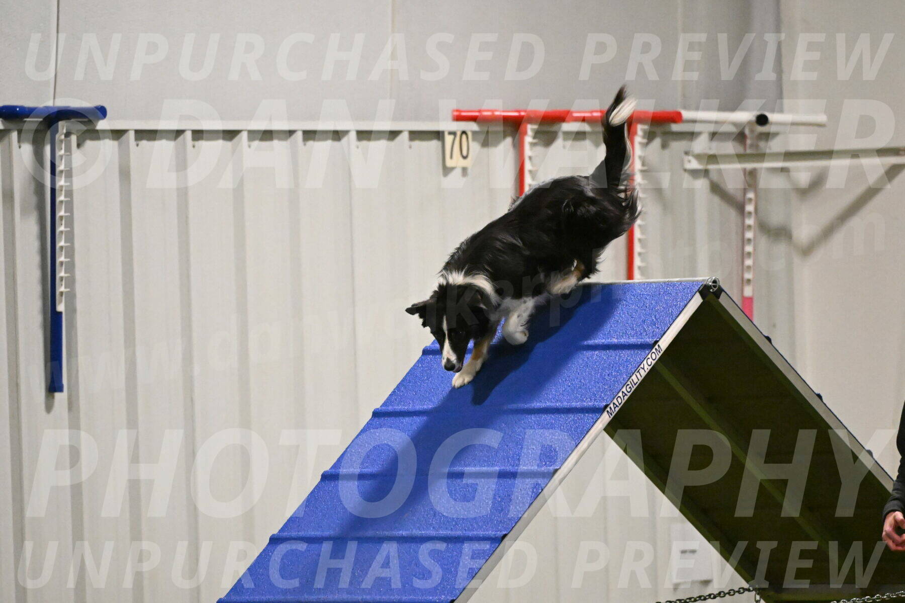 Myka-Sarah-Gould-08079