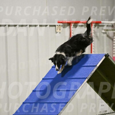 Myka-Sarah-Gould-08079