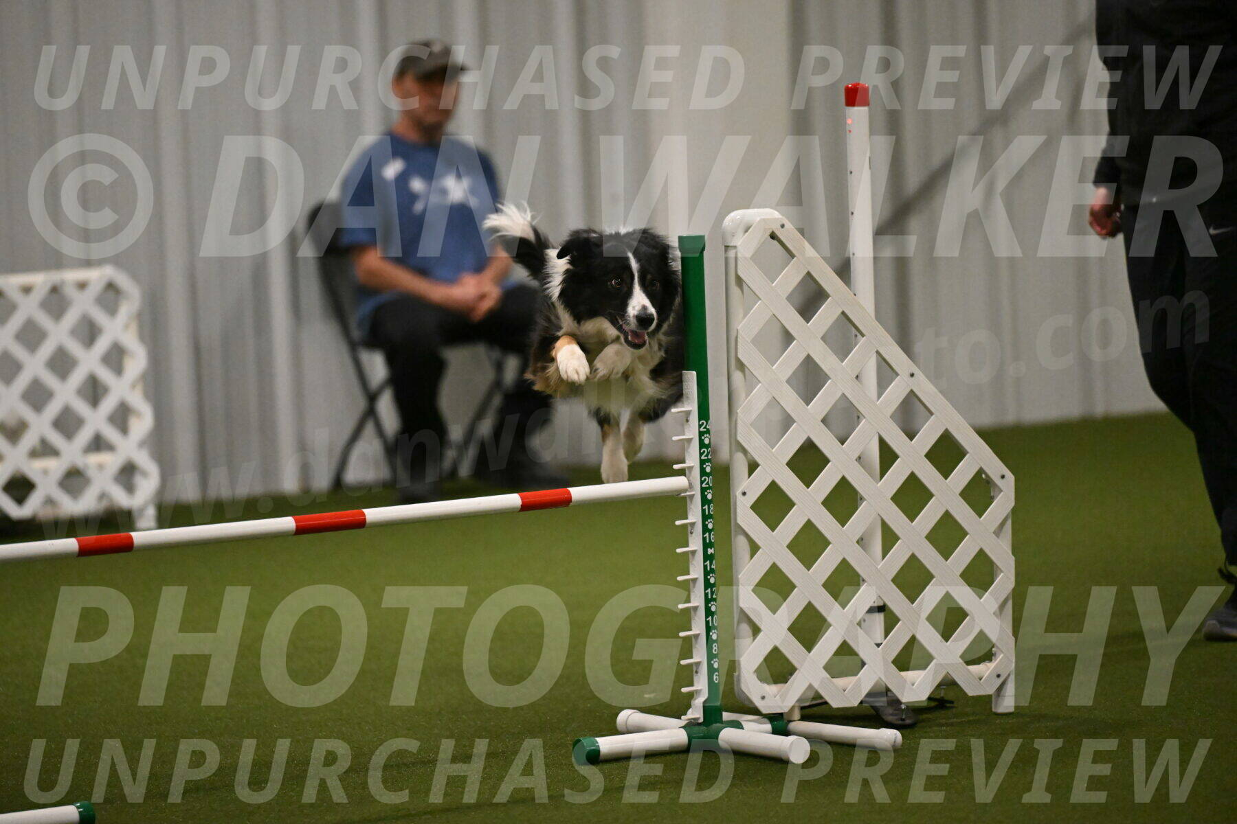 Myka-Sarah-Gould-08080