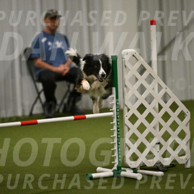 Myka-Sarah-Gould-08080