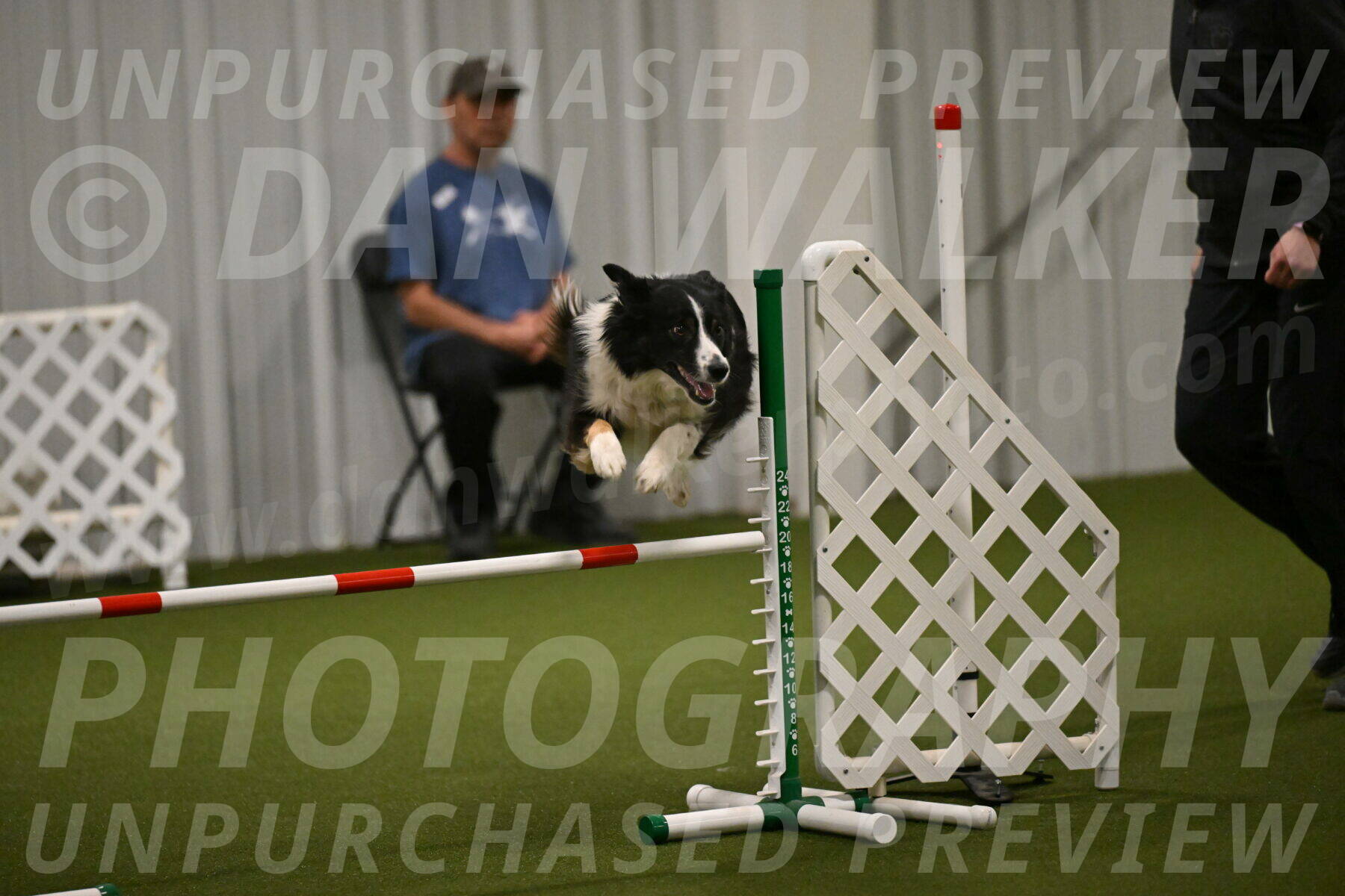 Myka-Sarah-Gould-08081