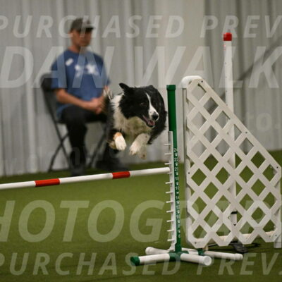 Myka-Sarah-Gould-08081