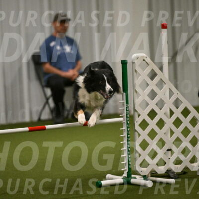 Myka-Sarah-Gould-08082