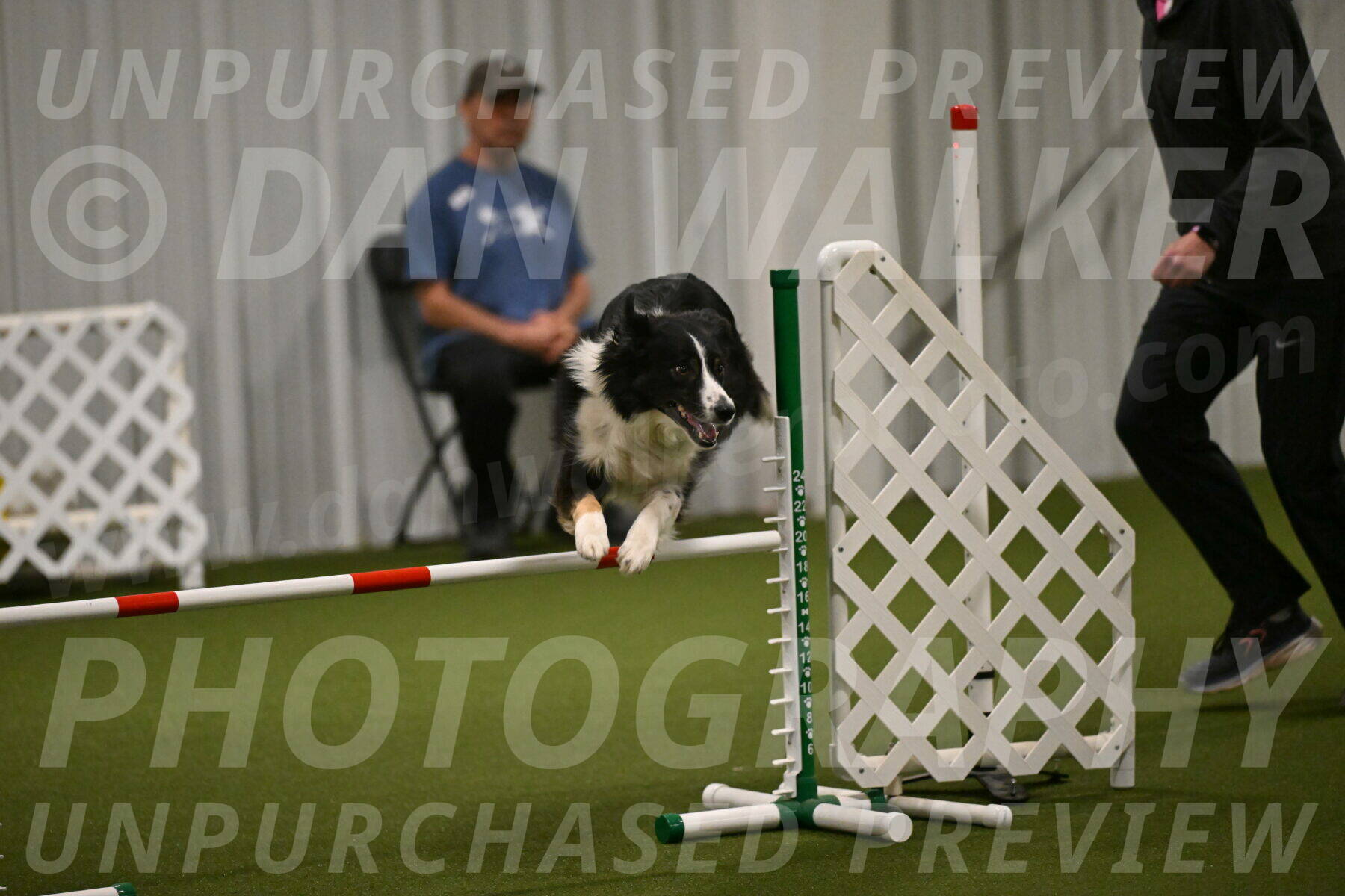 Myka-Sarah-Gould-08082