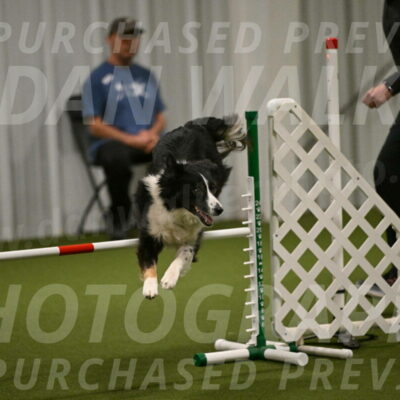 Myka-Sarah-Gould-08083