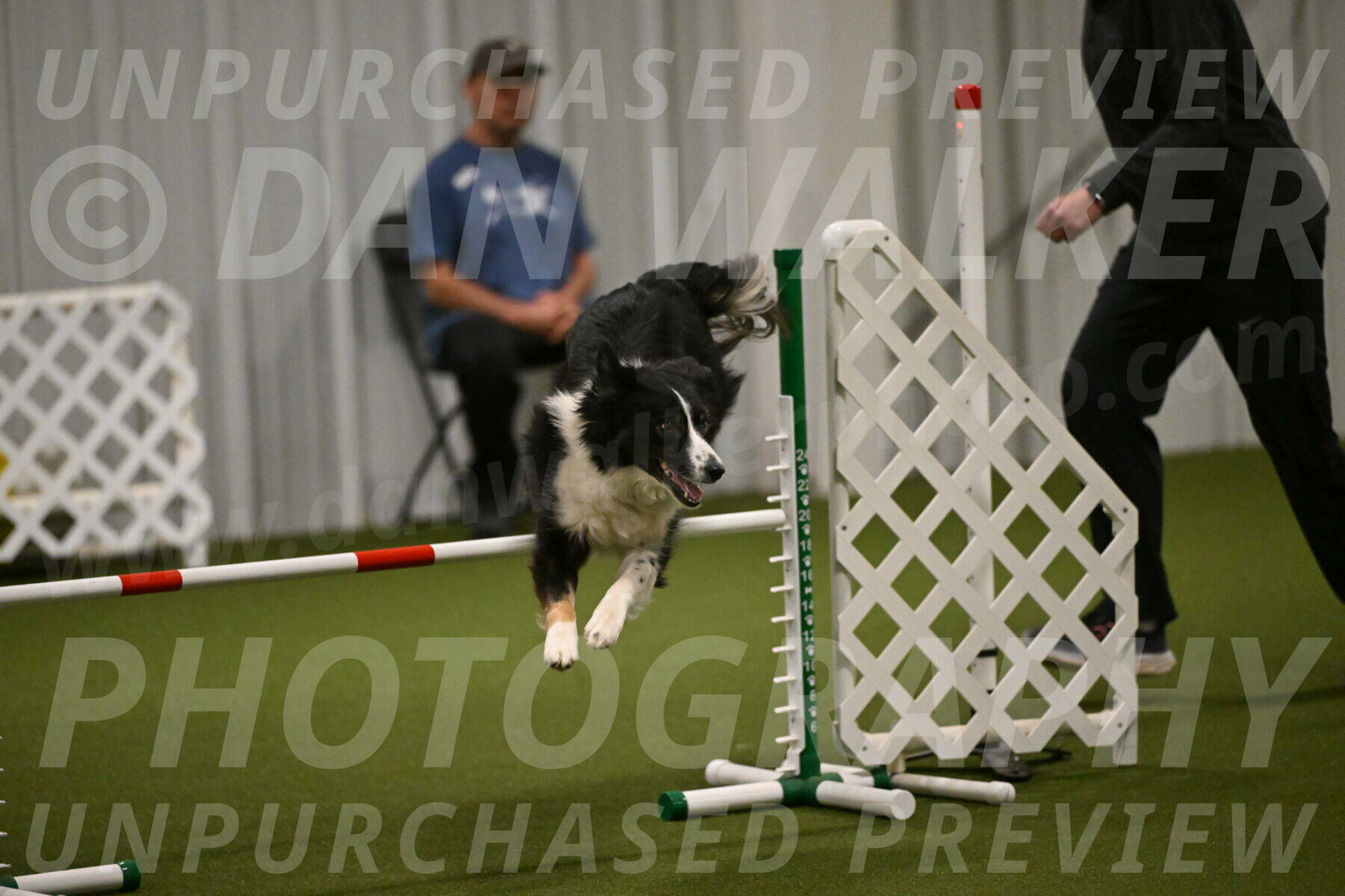 Myka-Sarah-Gould-08083