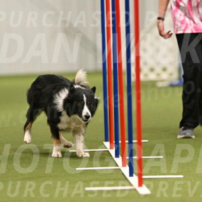 Myka-Sarah-Gould-08084