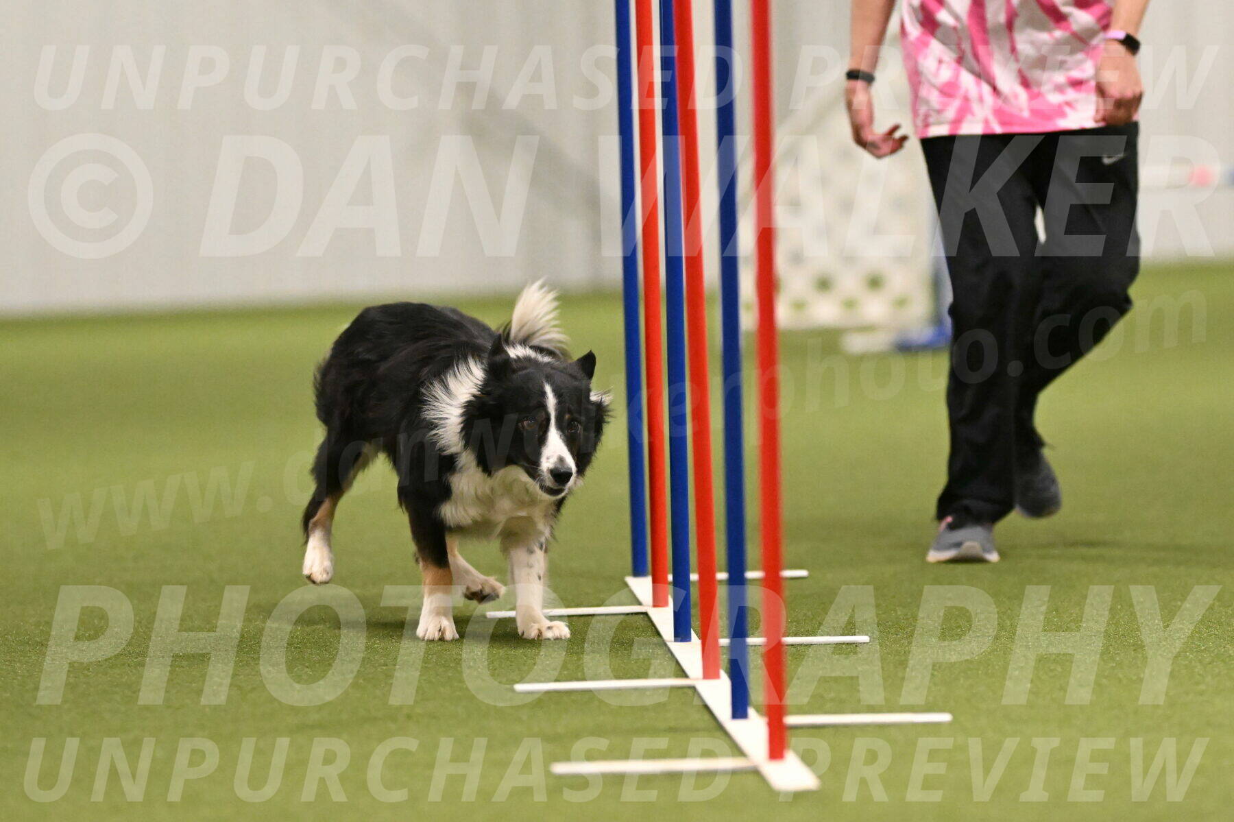 Myka-Sarah-Gould-08084