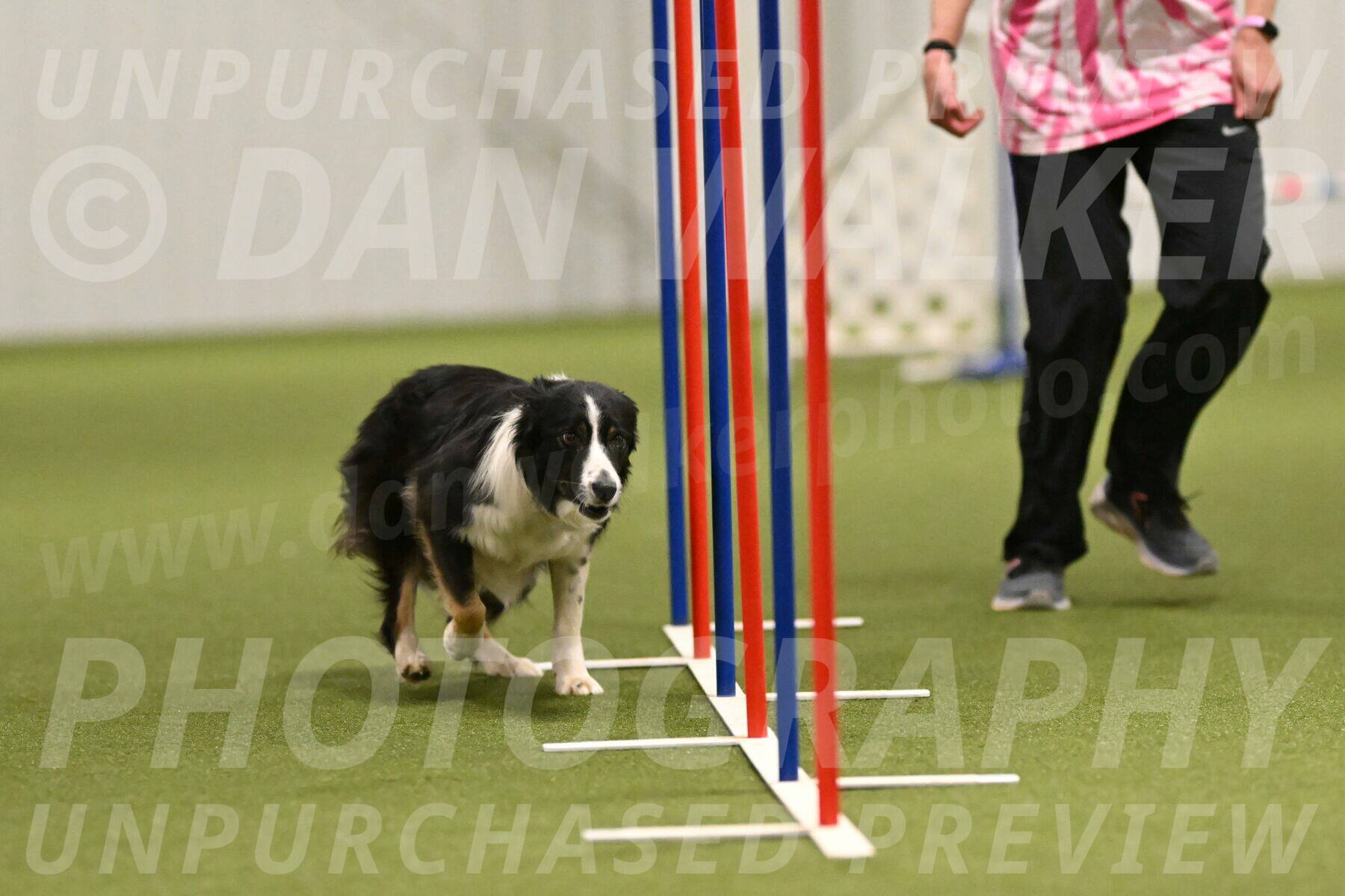 Myka-Sarah-Gould-08085