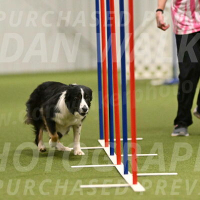 Myka-Sarah-Gould-08085