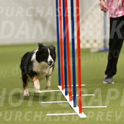 Myka-Sarah-Gould-08086