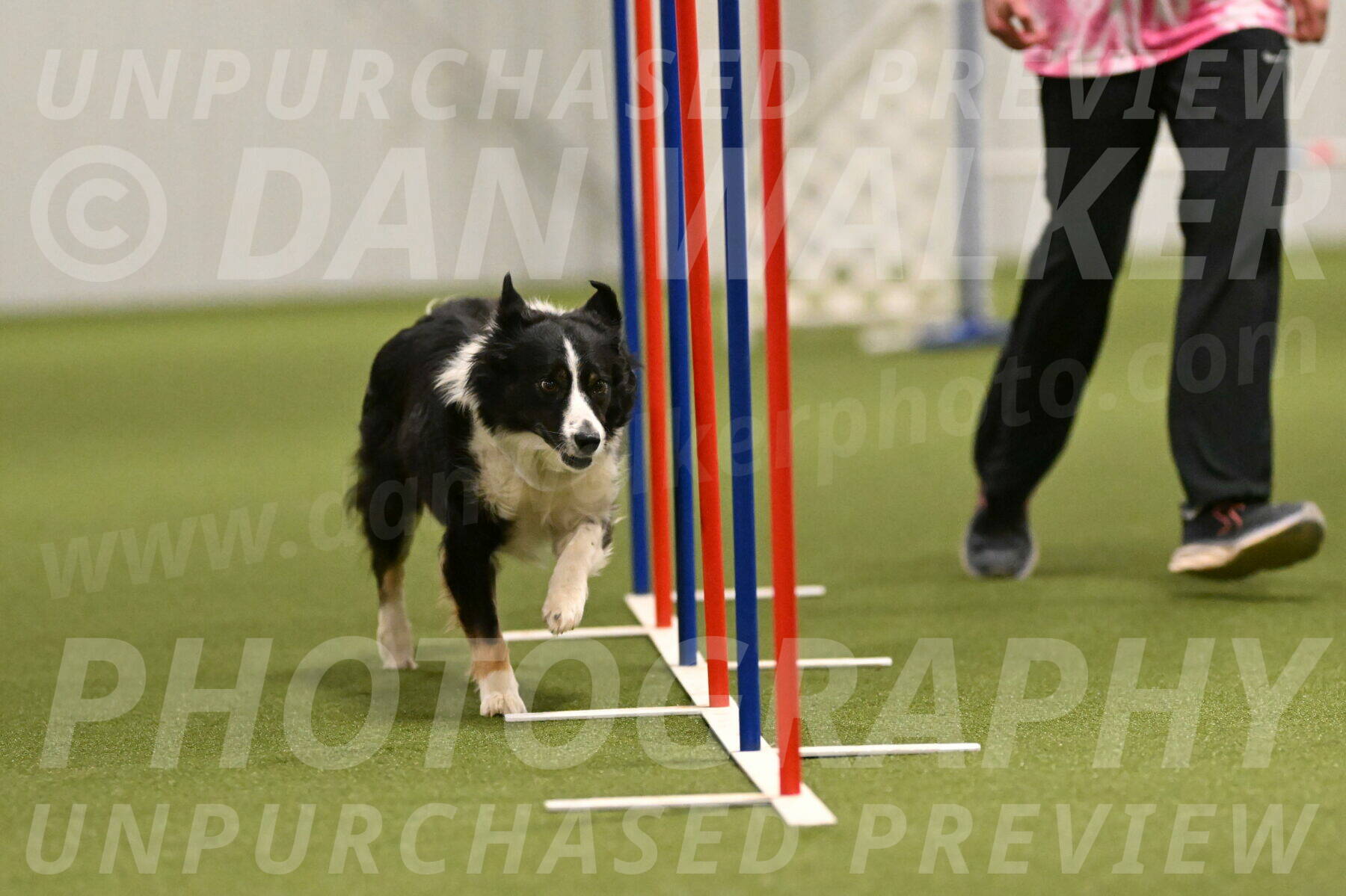 Myka-Sarah-Gould-08087