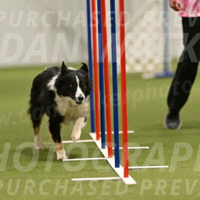 Myka-Sarah-Gould-08087