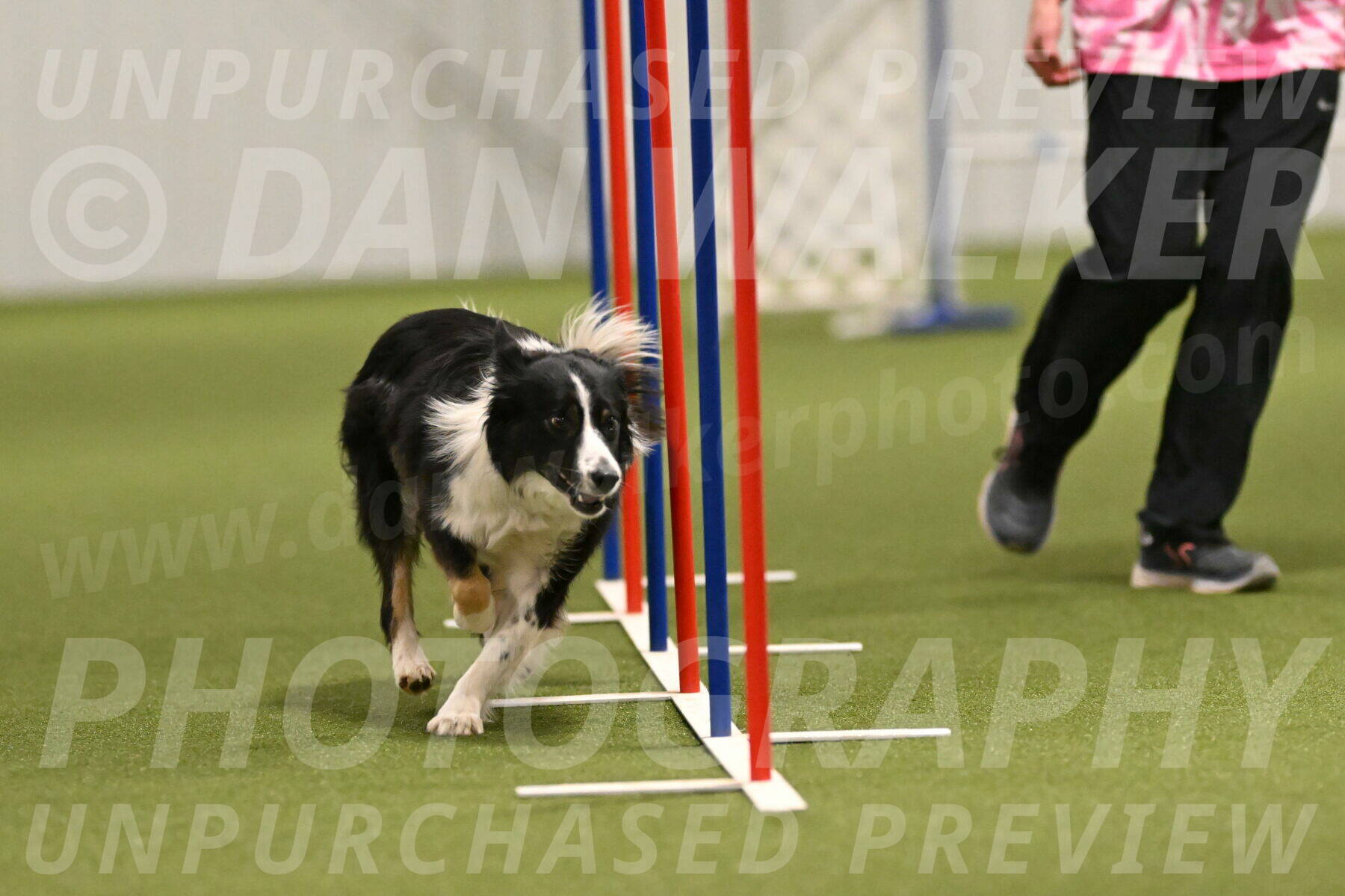 Myka-Sarah-Gould-08088