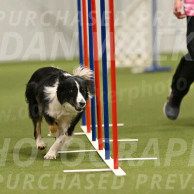 Myka-Sarah-Gould-08088