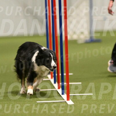 Myka-Sarah-Gould-08089