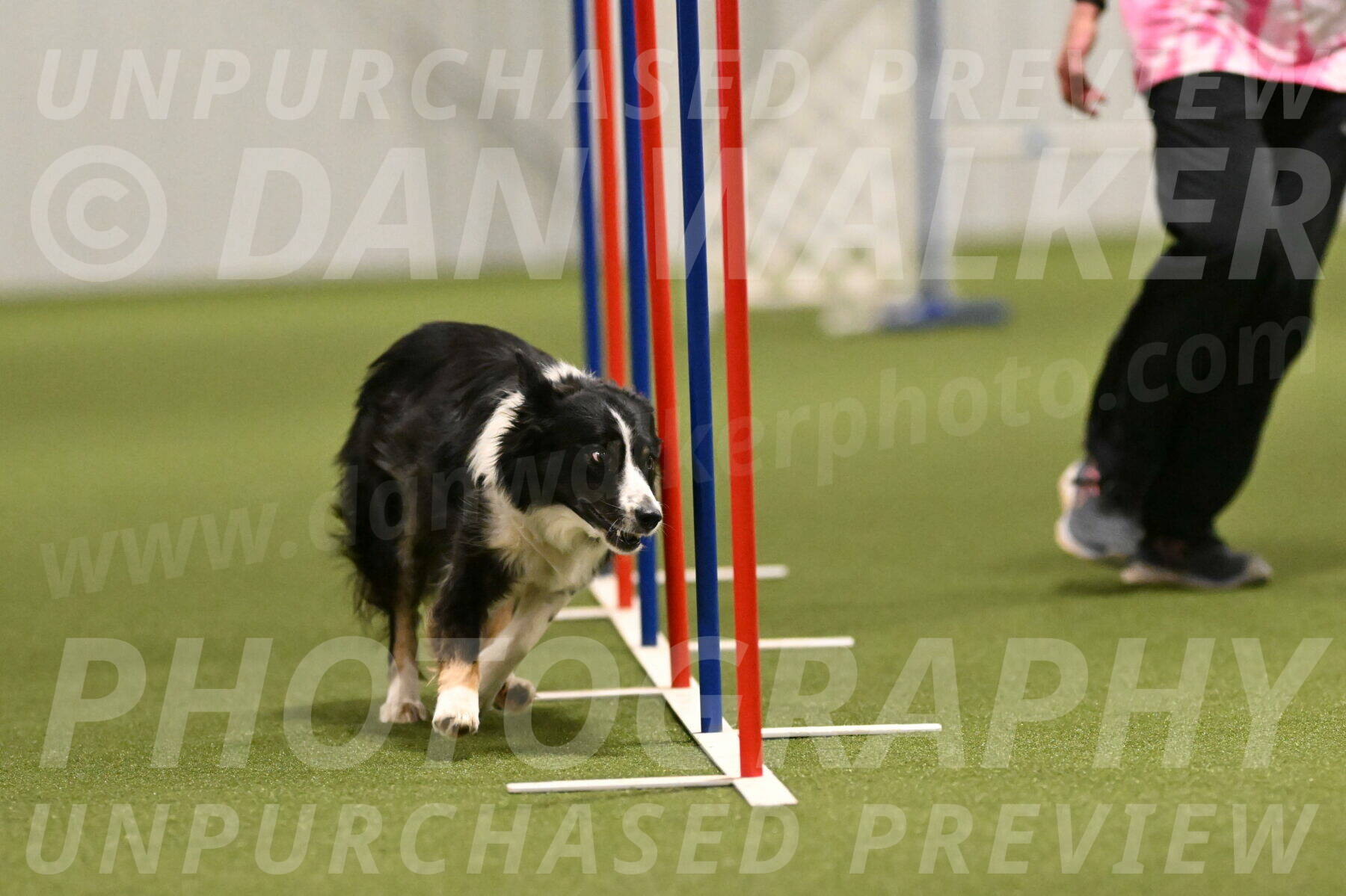 Myka-Sarah-Gould-08089