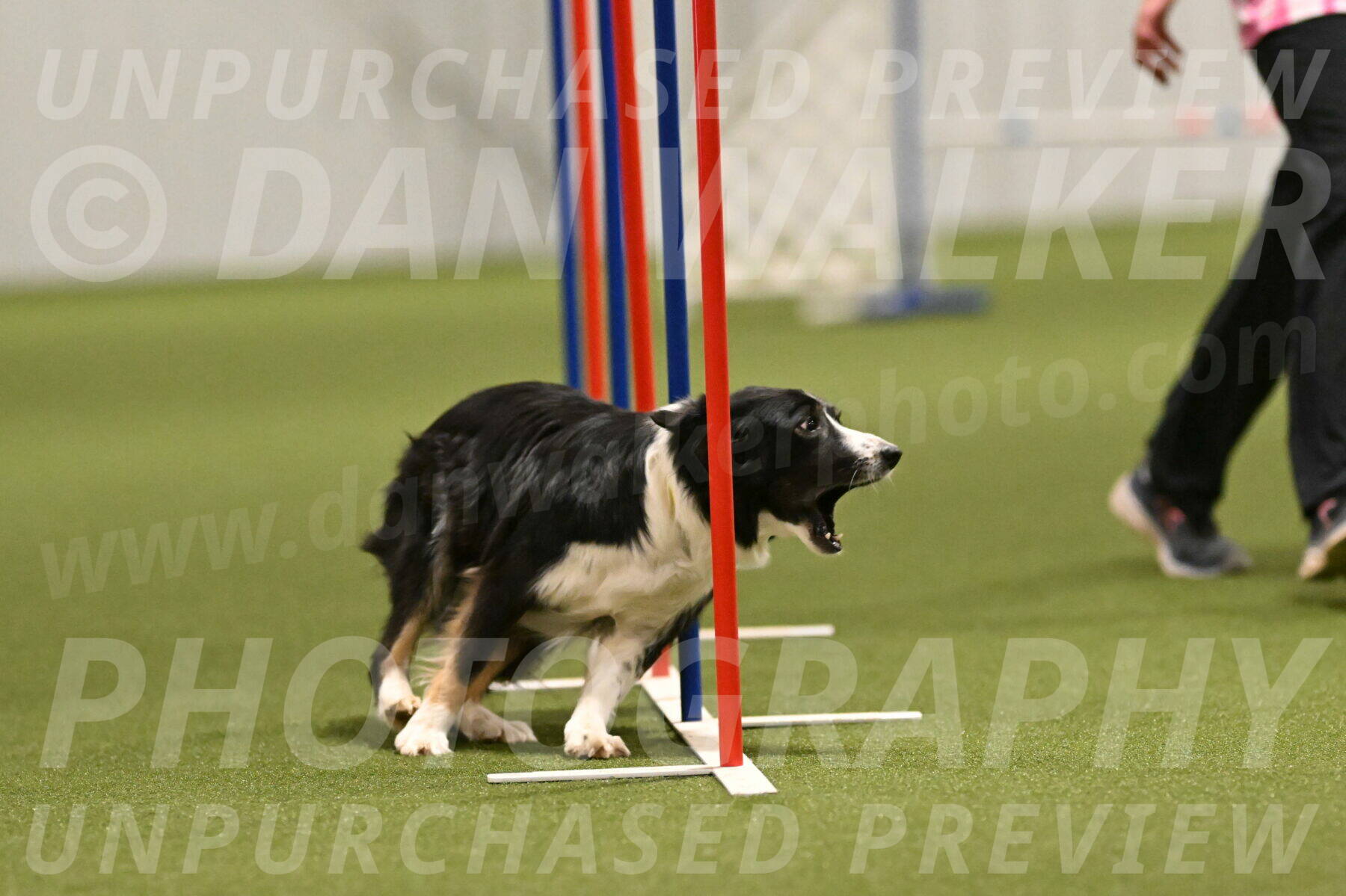 Myka-Sarah-Gould-08090