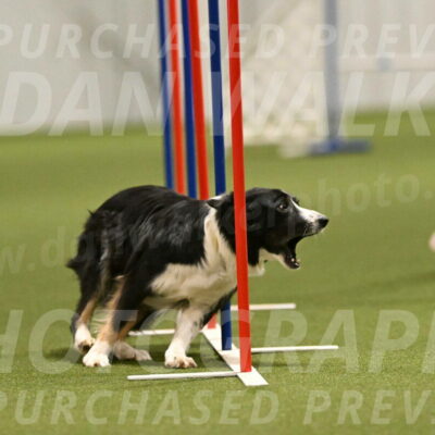 Myka-Sarah-Gould-08090