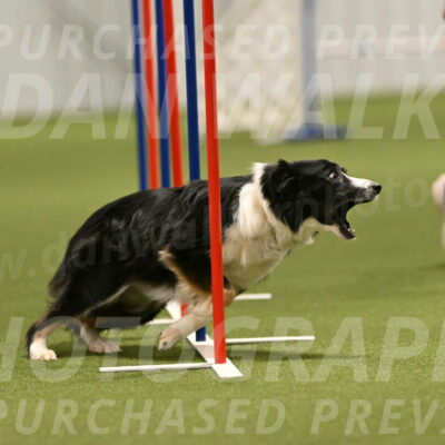 Myka-Sarah-Gould-08091