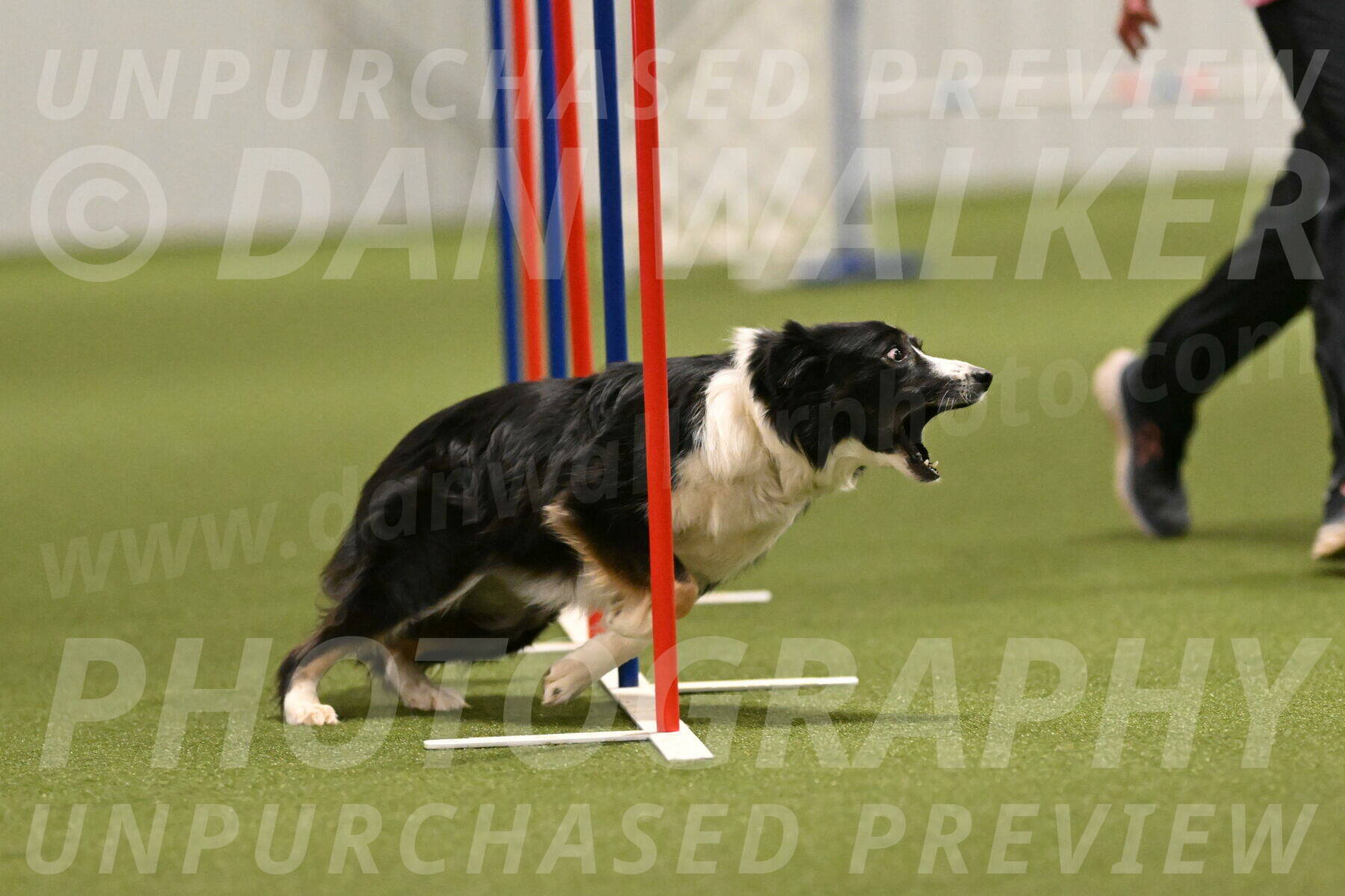 Myka-Sarah-Gould-08091