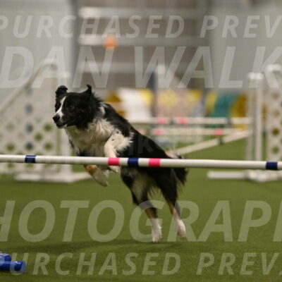 Myka-Sarah-Gould-08092