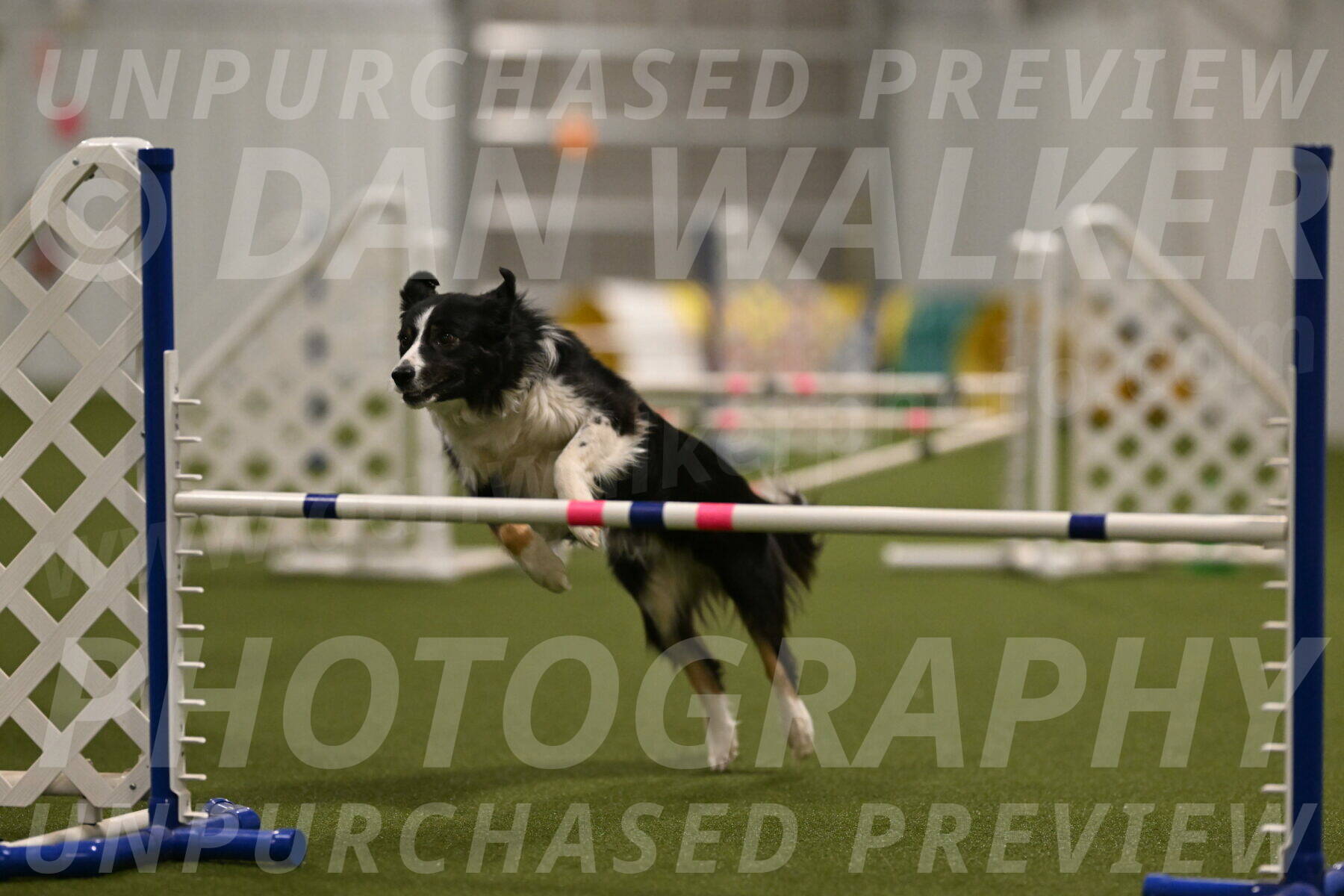 Myka-Sarah-Gould-08092