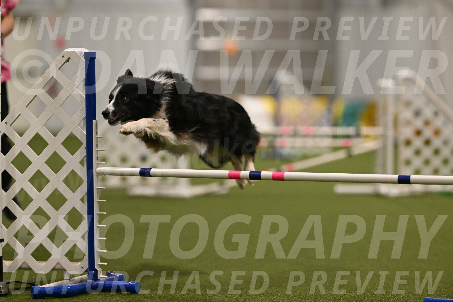 Myka-Sarah-Gould-08093