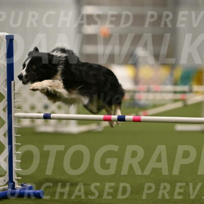 Myka-Sarah-Gould-08093