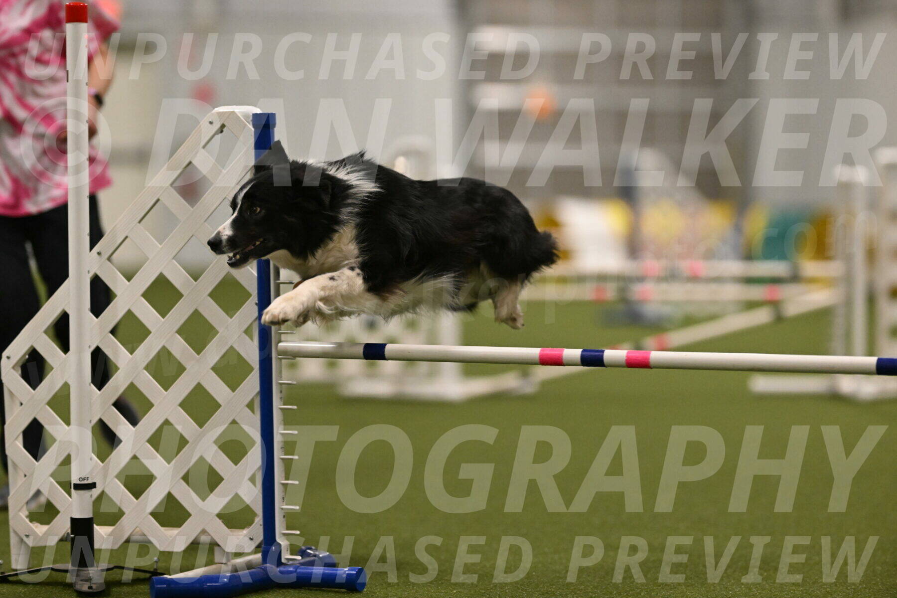 Myka-Sarah-Gould-08094