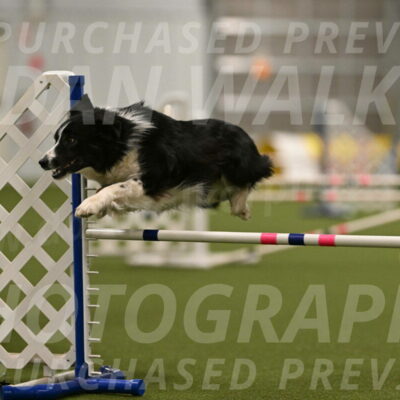 Myka-Sarah-Gould-08094