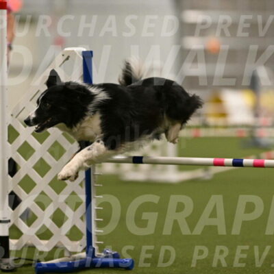 Myka-Sarah-Gould-08095