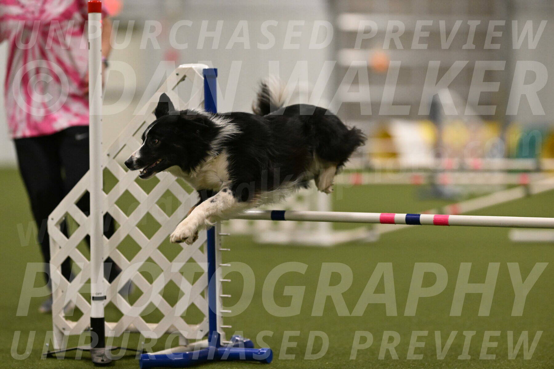 Myka-Sarah-Gould-08095