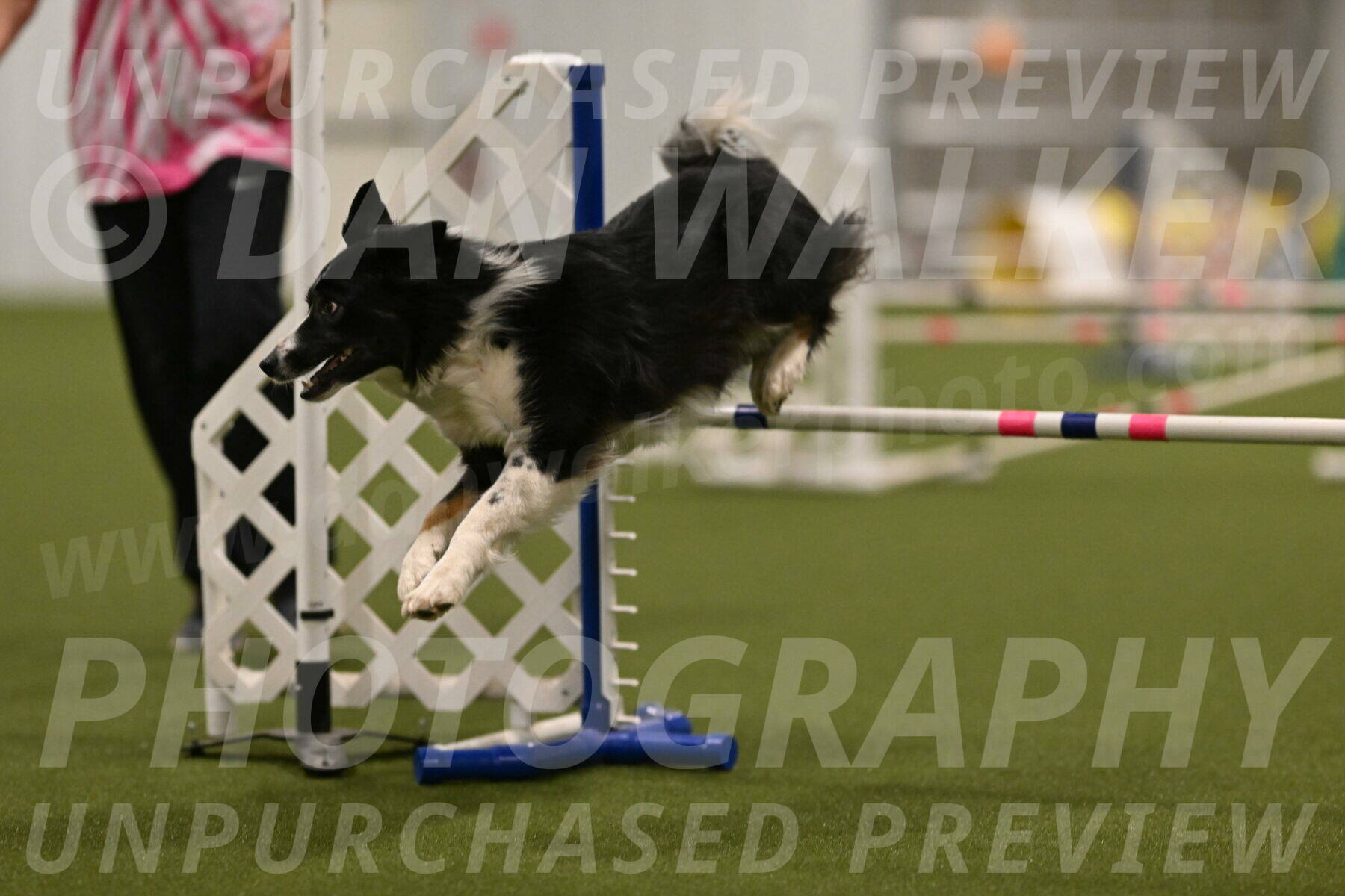 Myka-Sarah-Gould-08096