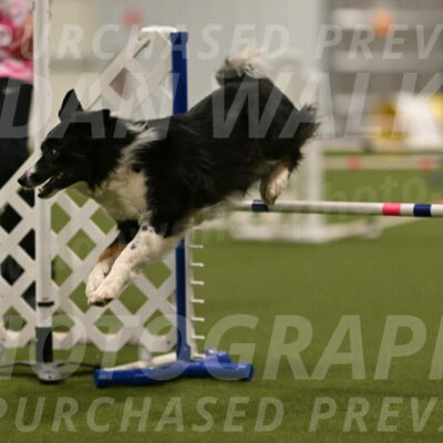 Myka-Sarah-Gould-08096