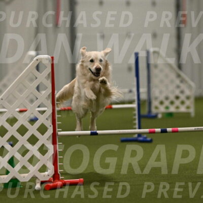 Nisha-Nick-Ferguson-09211