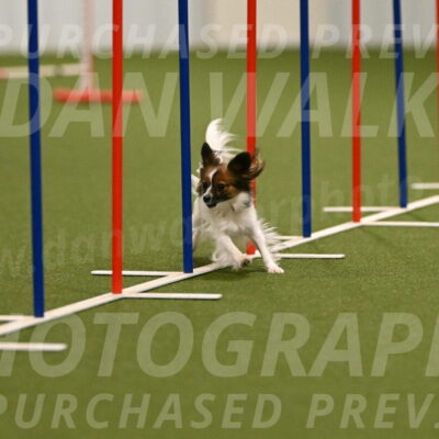 Nissa-Marco-Giavoni-11452