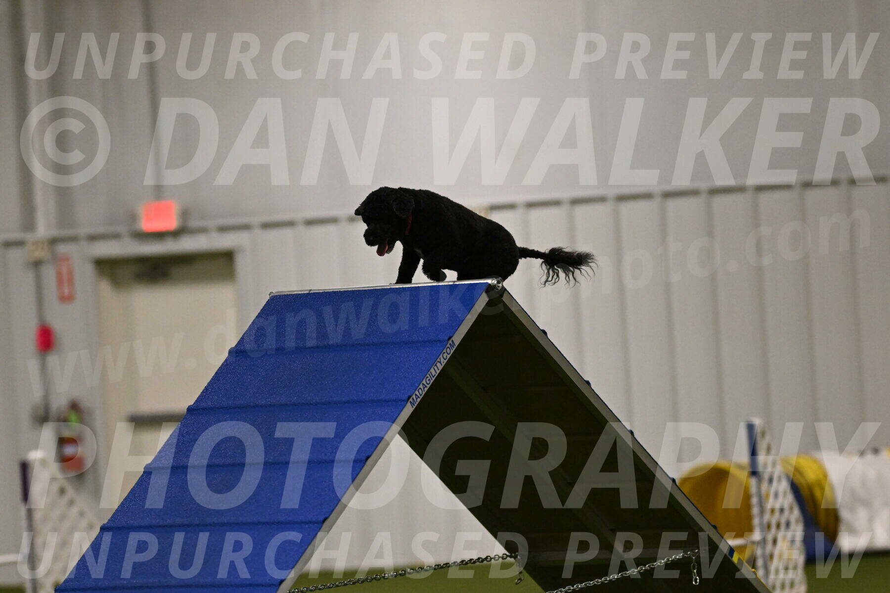 Nixie-Stacie-Rosenburg-00397