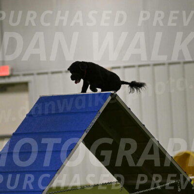 Nixie-Stacie-Rosenburg-00397