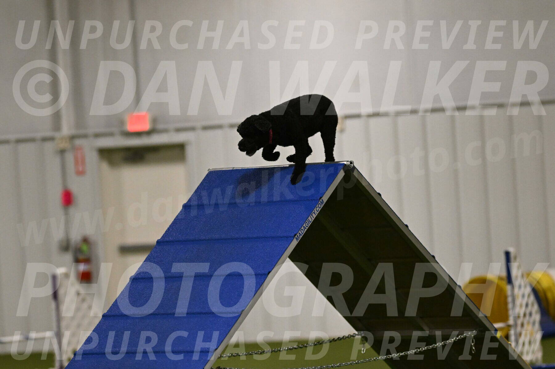 Nixie-Stacie-Rosenburg-00398