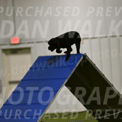 Nixie-Stacie-Rosenburg-00398