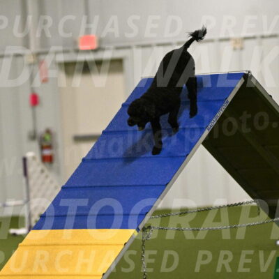 Nixie-Stacie-Rosenburg-00399