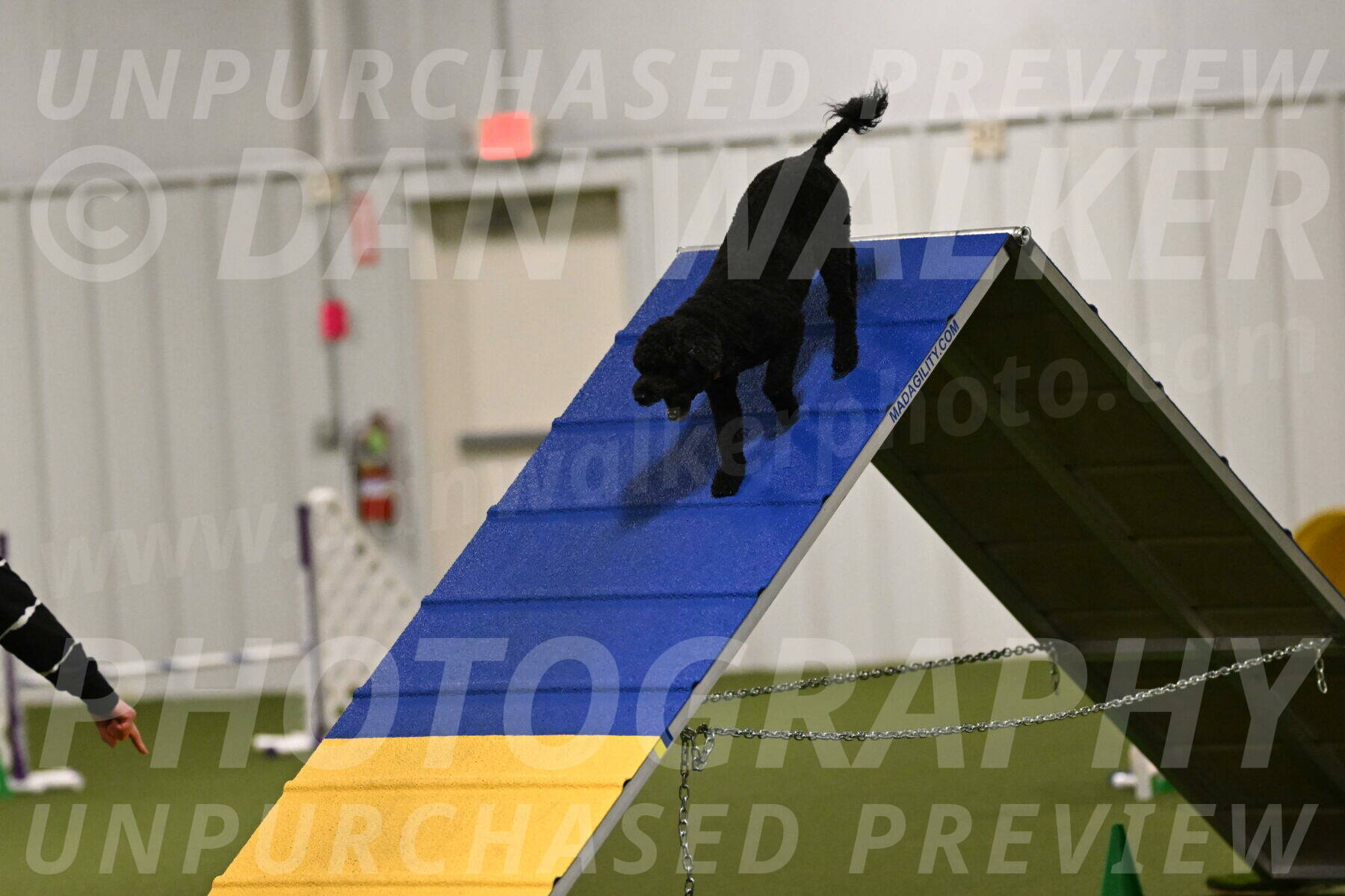 Nixie-Stacie-Rosenburg-00399