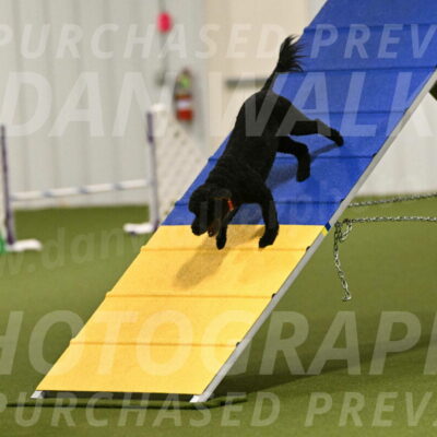 Nixie-Stacie-Rosenburg-00400