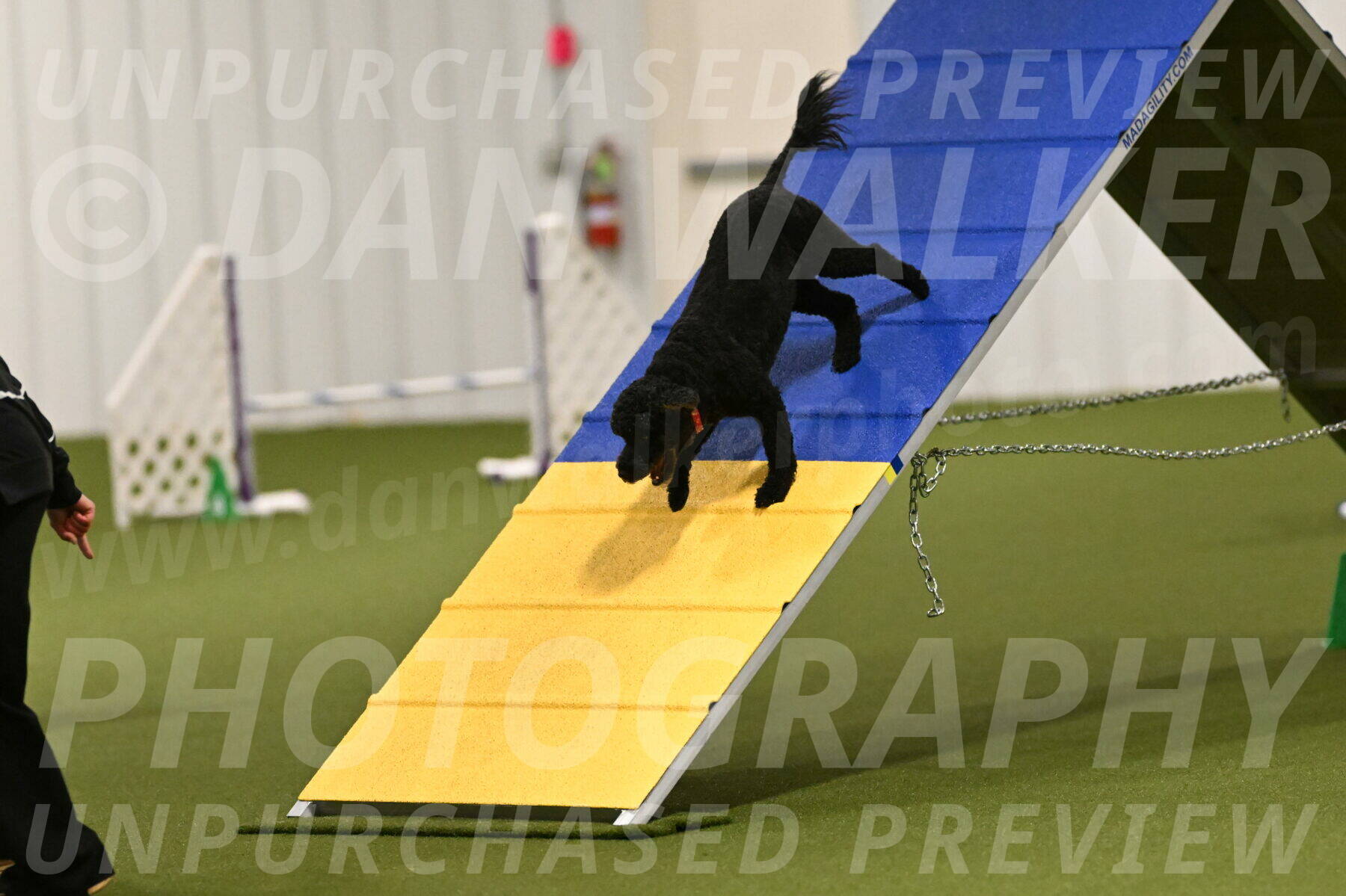 Nixie-Stacie-Rosenburg-00400