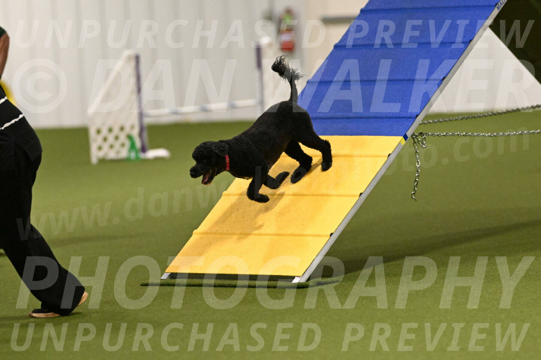 Nixie-Stacie-Rosenburg-00401