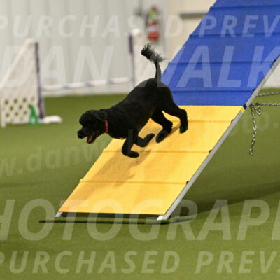 Nixie-Stacie-Rosenburg-00401