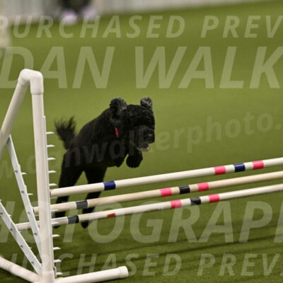 Nixie-Stacie-Rosenburg-00402